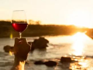 Mann hält ein Weinglas inmitten grüner Natur im Napa Valley – entspannter Genuss unter freiem Himmel mit Blick auf die Reben.