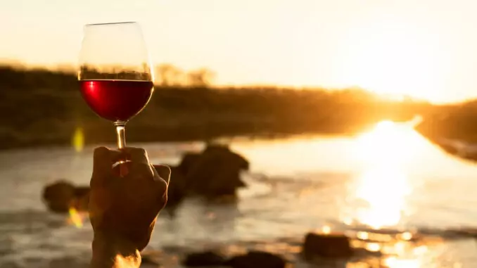 Mann hält ein Weinglas inmitten grüner Natur im Napa Valley – entspannter Genuss unter freiem Himmel mit Blick auf die Reben.