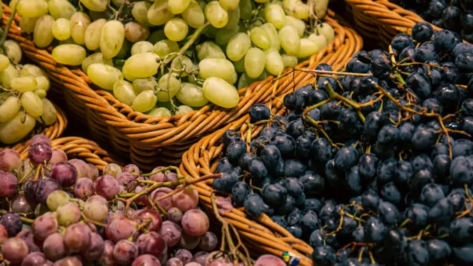 Denn die Rebsorten im Napa Valley sind so vielfältig wie eine Weinkarte bei einer hippen Sommelière.