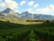 Weinanbaugebiet Korsika (Corse)