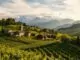 Weinanbaugebiet avoyen (Savoie)