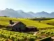 Weinregion Stellenbosch
