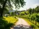 Weinweg Weinfelden