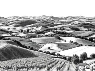 Deutsche Weinregionen