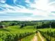 Pfalz Wein