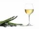 Wein & Spargel