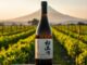 wein japan koshu