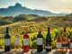 wein mallorca hochwertig