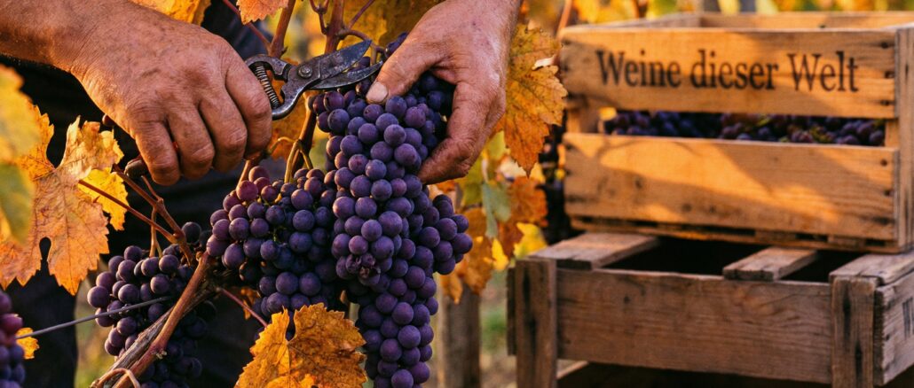 kubanische grenztruppen schießen