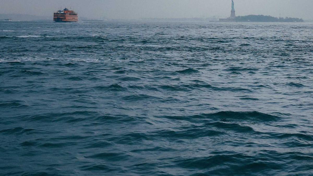 Detailansicht: AFD Umfragewerte