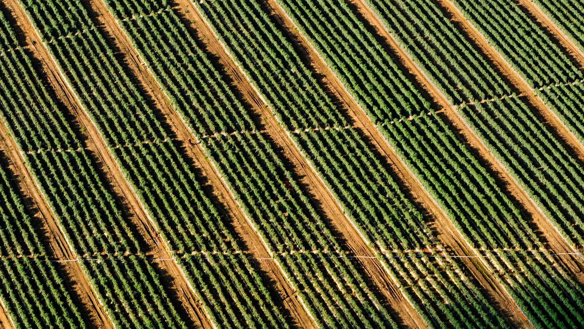 Detailansicht: Aktenzeichen XY Hinweise