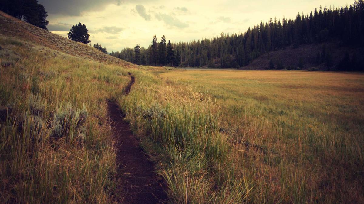 Illustration zu Aldi Lampen