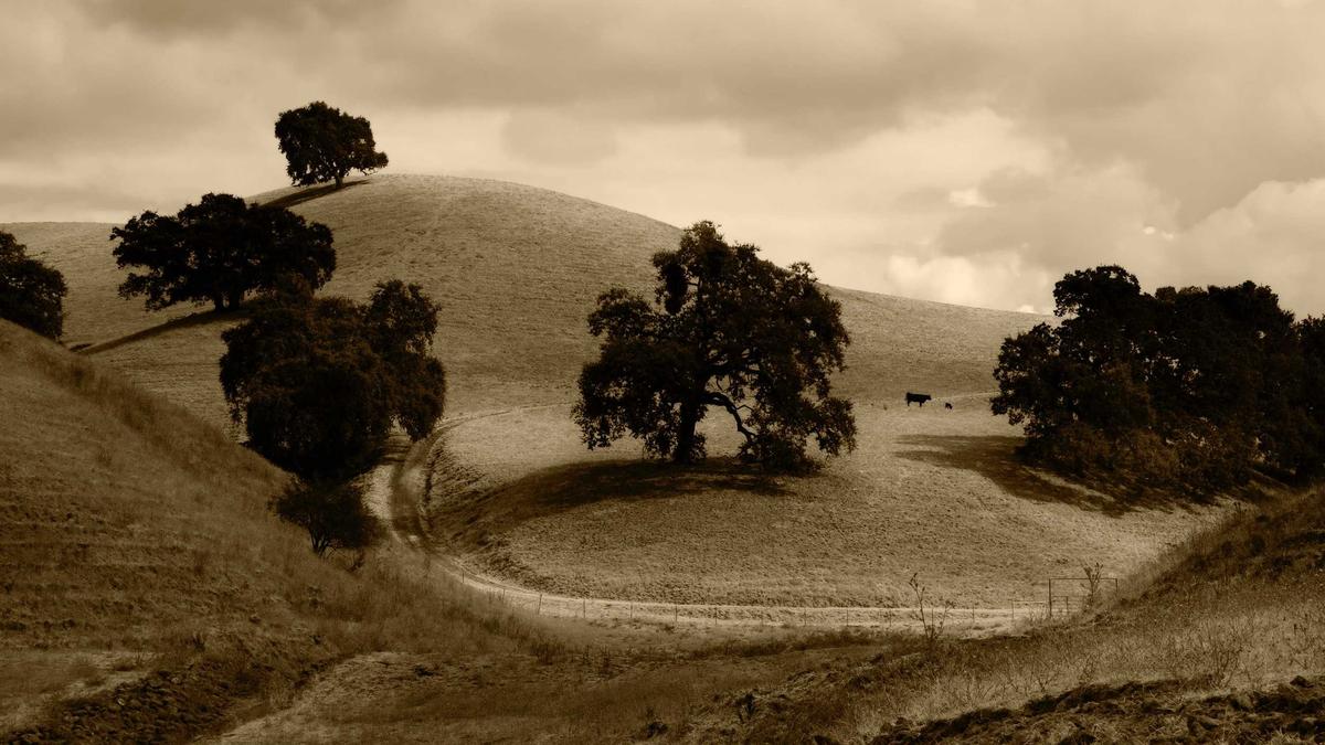 Symbolbild zum Thema Arc Raiders Update Heute Uhrzeit