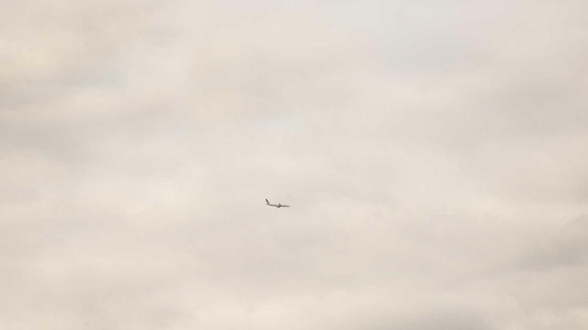 Detailansicht: Ariana Baborie