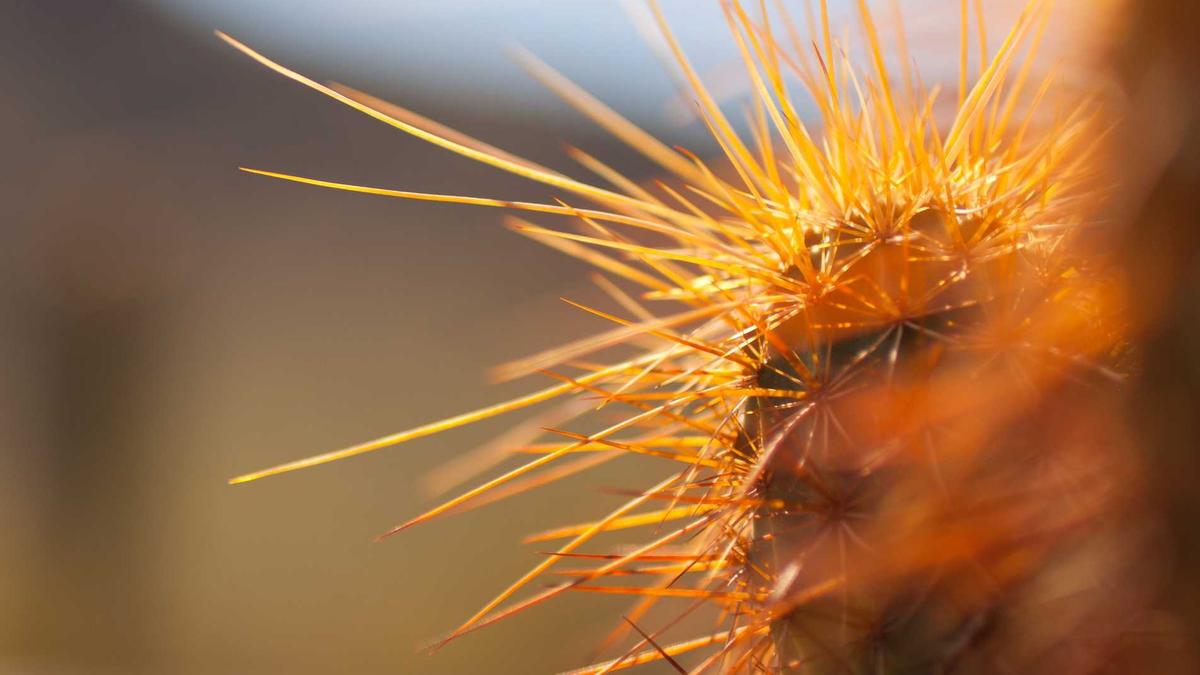 Axel Jungk Illustration zu Axel Jungk