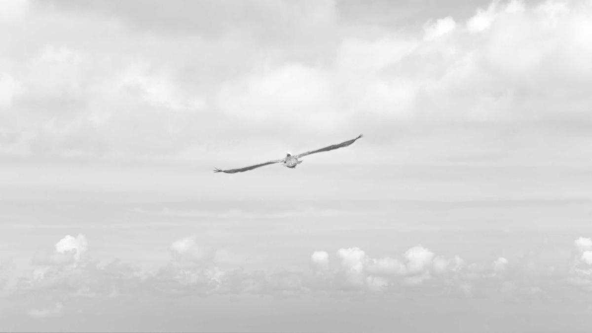 Axel Jungk Detailansicht: Axel Jungk