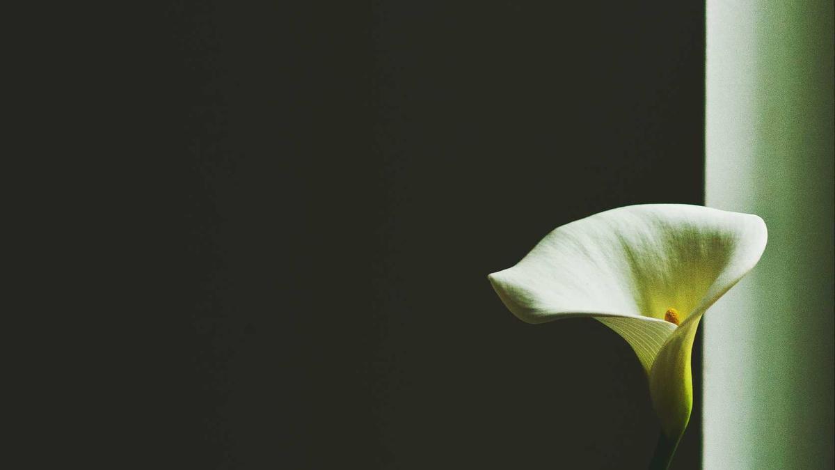 Symbolbild zum Thema Barcelona – Levante