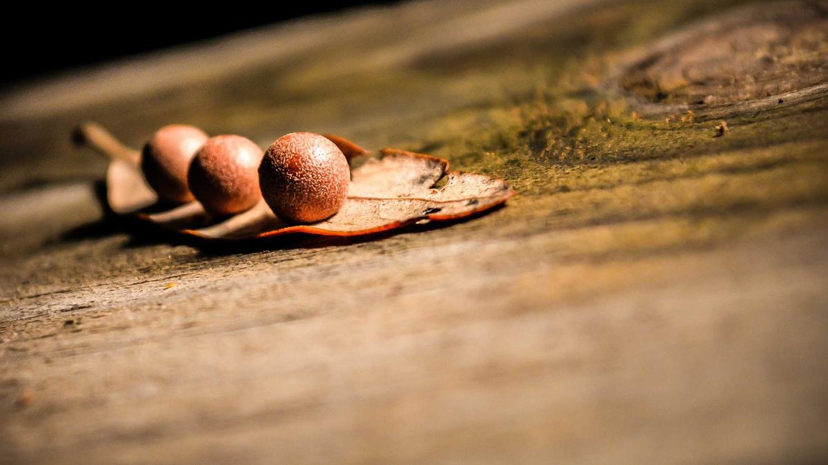 BET365 Illustration zu BET365