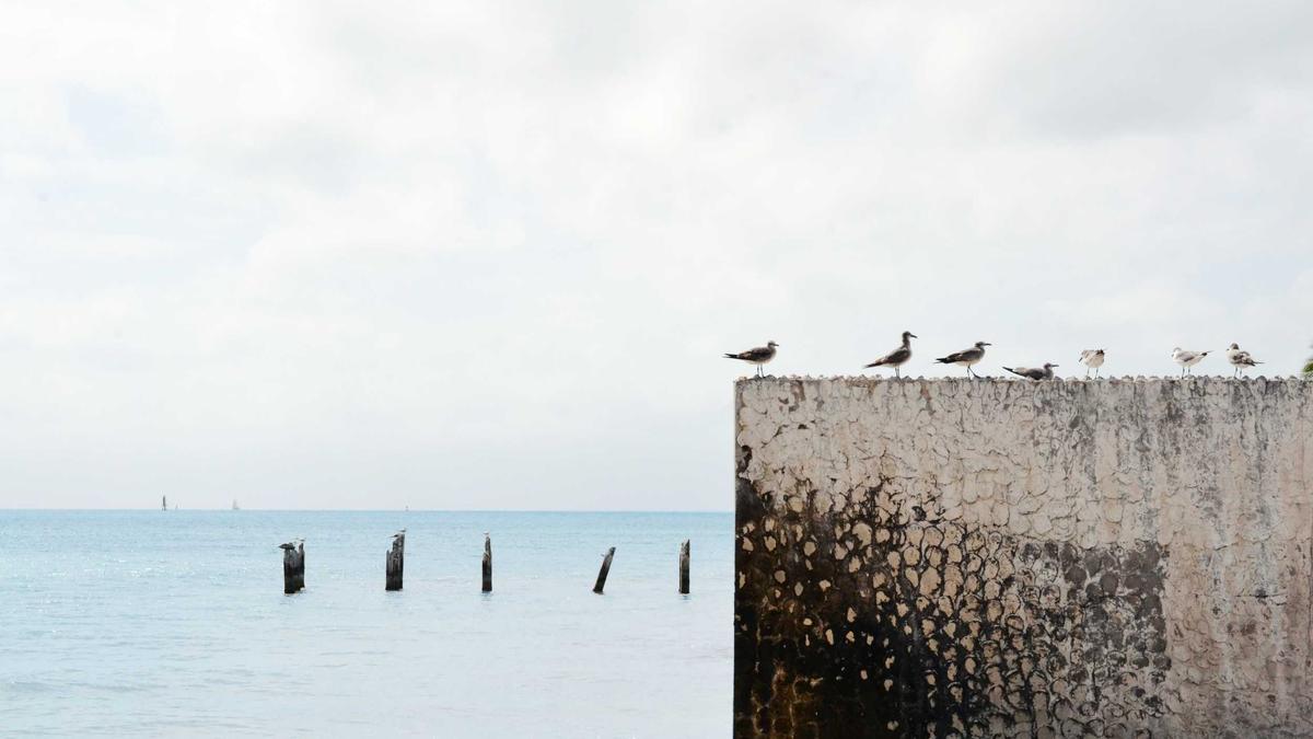 Detailansicht: Brisant.de