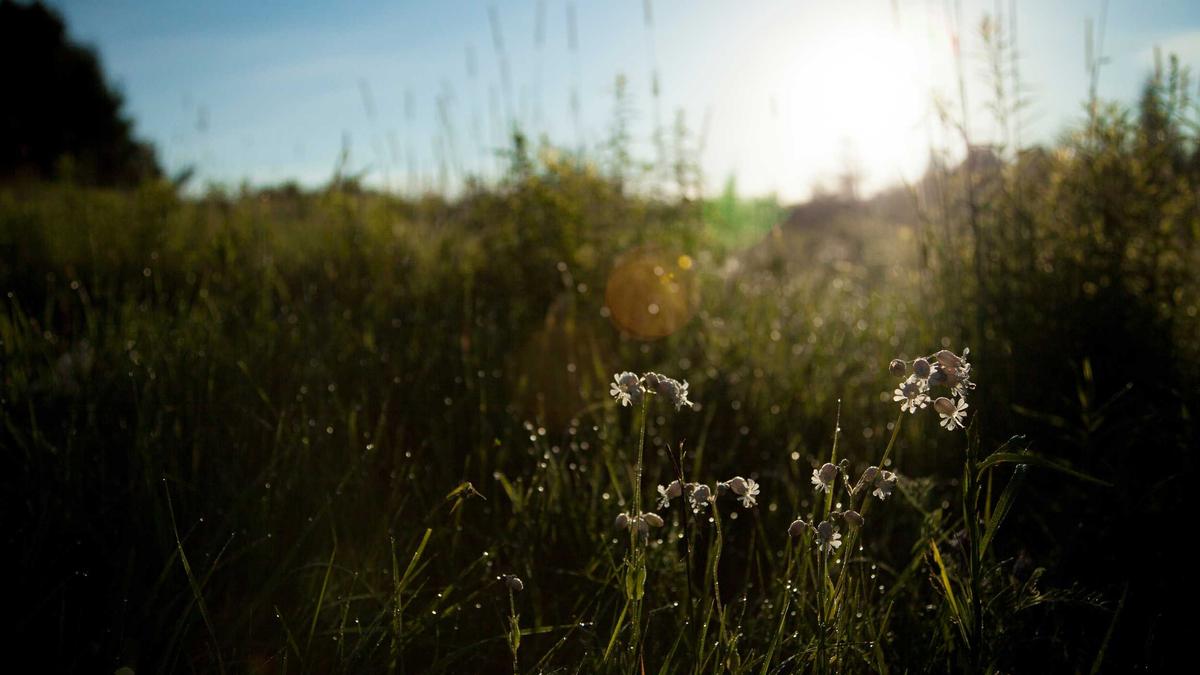 Detailansicht: Curling Olympia