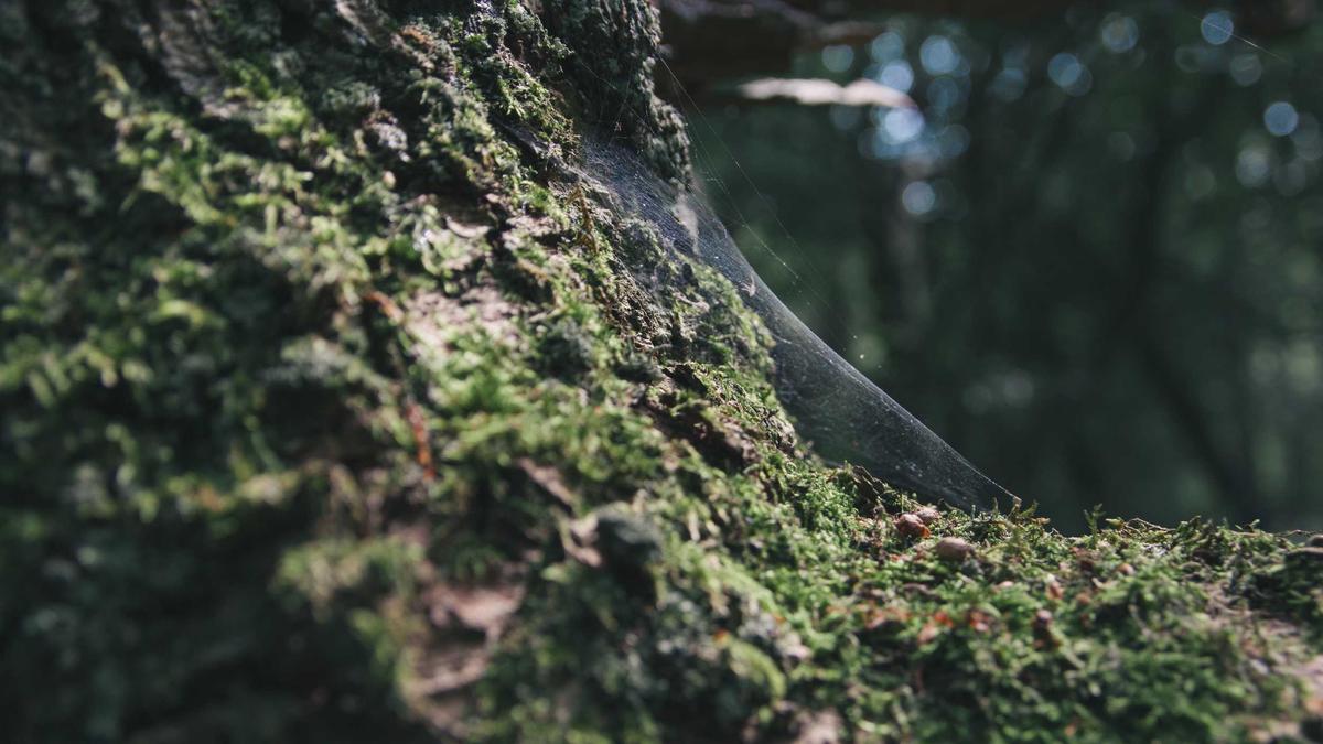 Drohnenangriff Munitionsdepot Symbolbild zum Thema Drohnenangriff Munitionsdepot