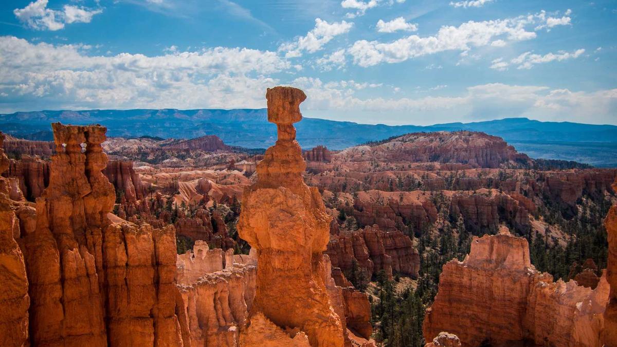 Illustration zu Elke Kahr