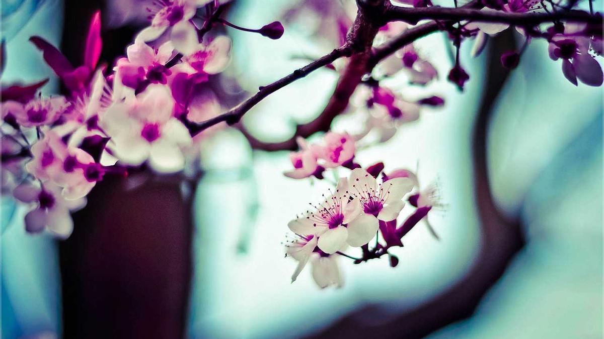 Illustration zu Emma Stone