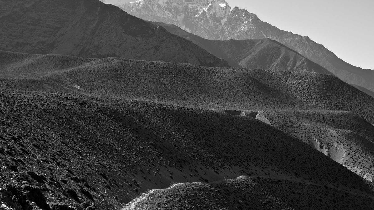 Symbolbild zum Thema Familiendrama Eimke