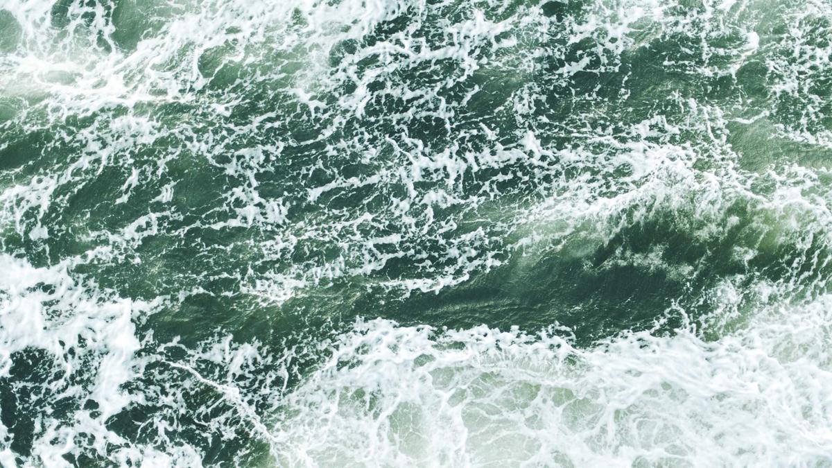 Symbolbild zum Thema FC Bayern Champions League