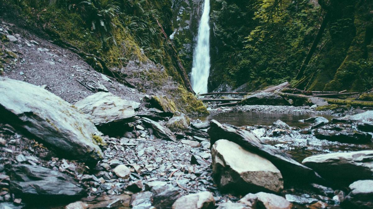 Detailansicht: FC Porto