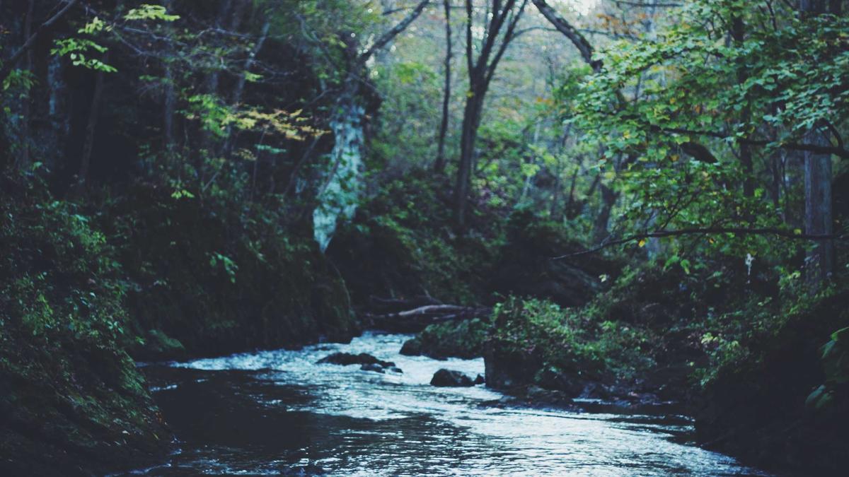 Franziska Temme Symbolbild zum Thema Franziska Temme