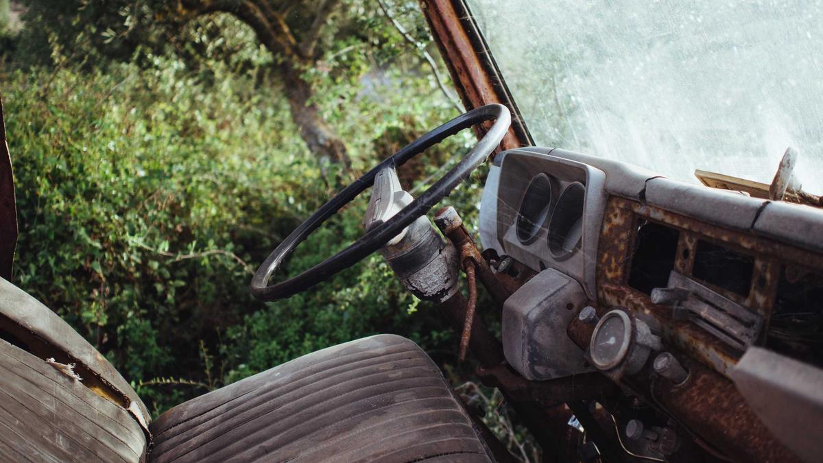 Detailansicht: Frühlingswetter