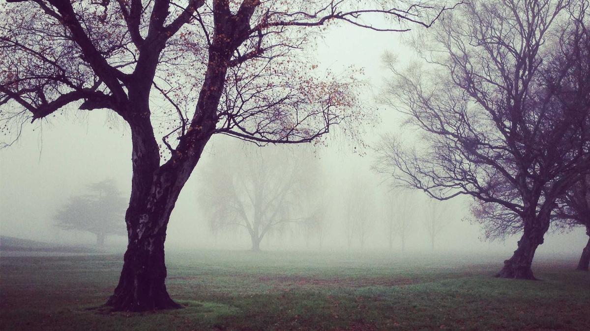 Gartenarbeit März Illustration zu Gartenarbeit März