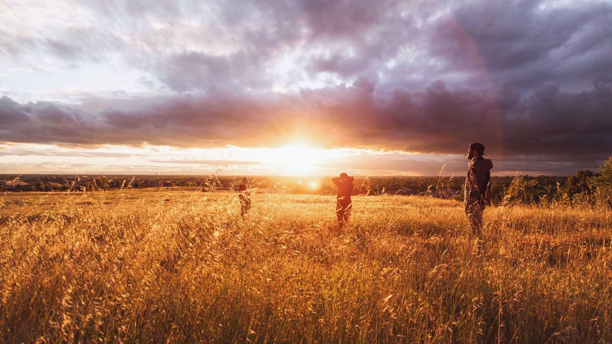 Gaudreau Detailansicht: Gaudreau