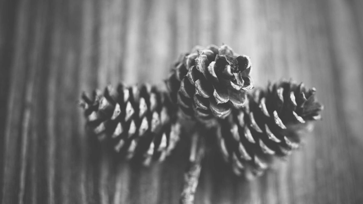 Illustration zu Go Asia Rückruf