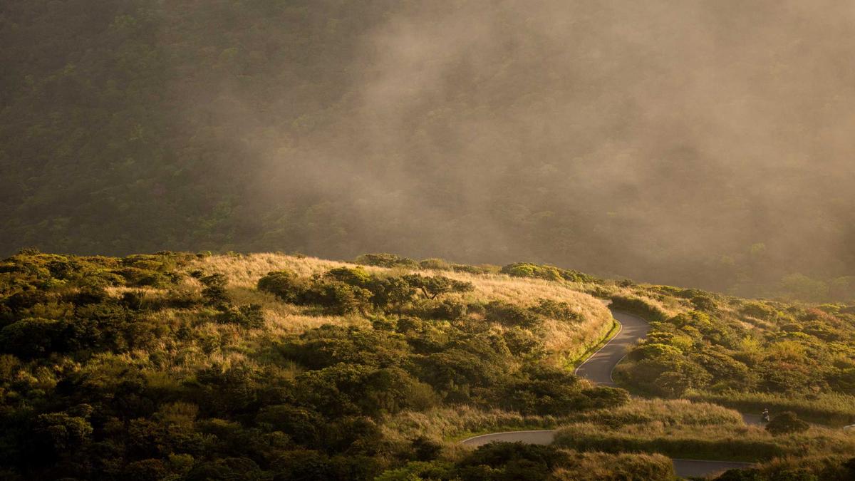 Illustration zu Grippewelle