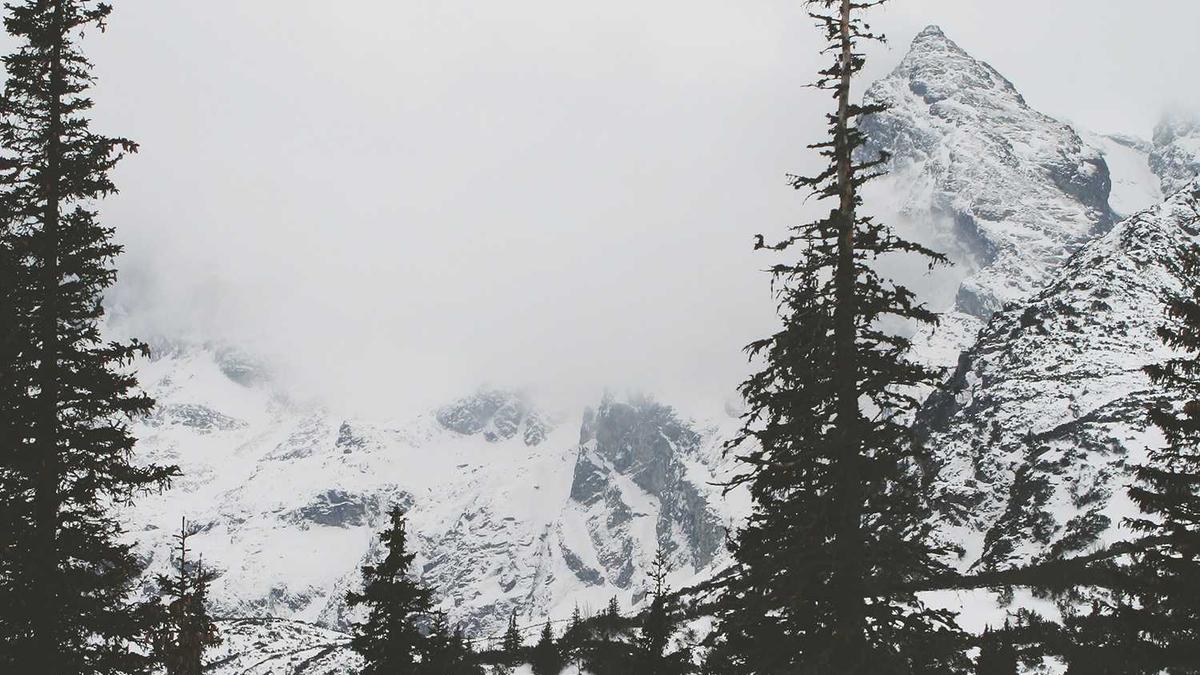 Illustration zu Hannover 96 – Dynamo