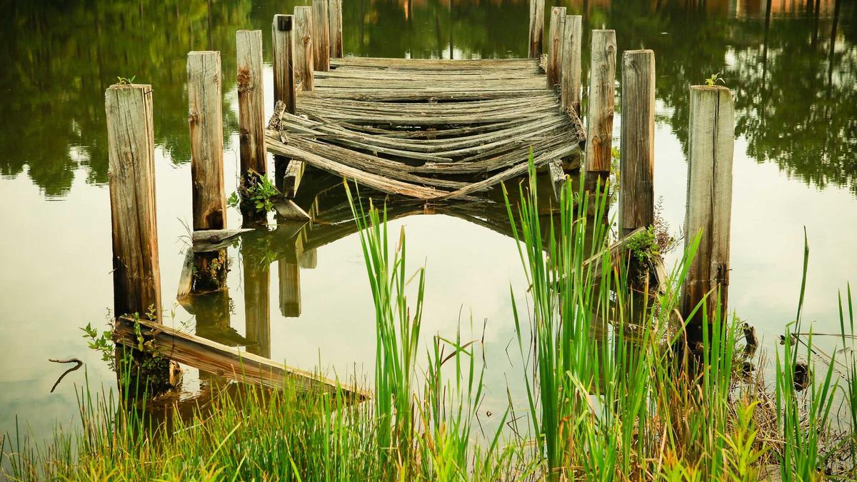 Detailansicht: Harald Martenstein