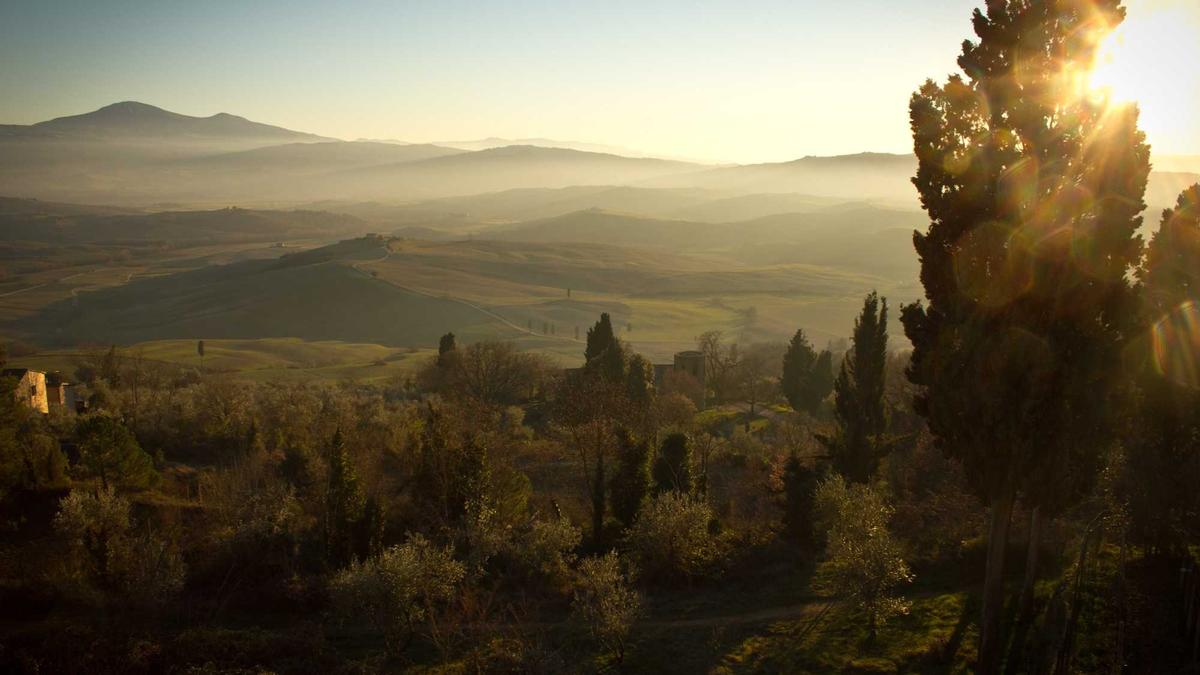 Harry Kane Symbolbild zum Thema Harry Kane