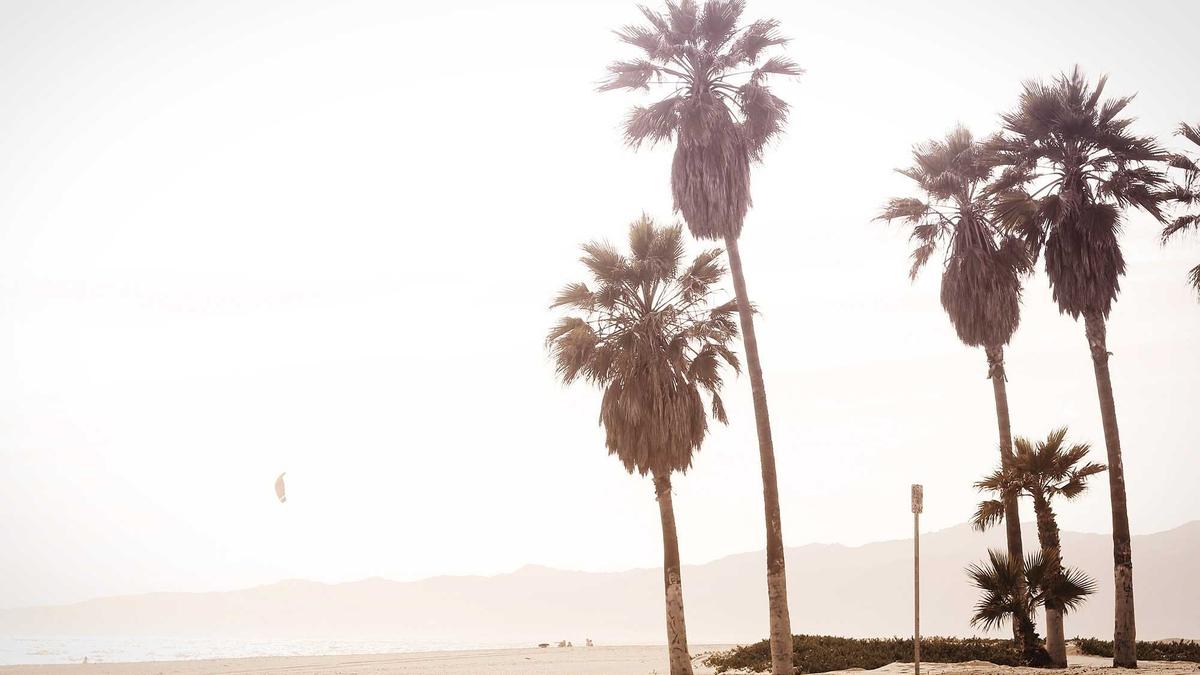 Illustration zu Heiner Lauterbach