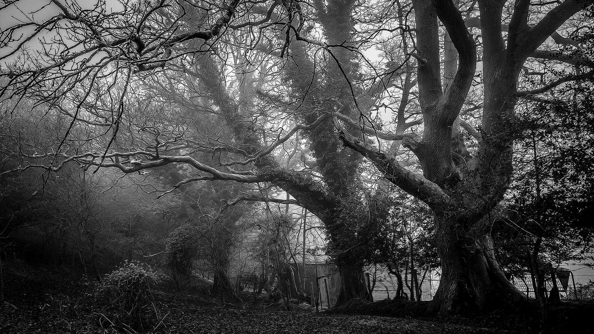 Hilde Gerg Symbolbild zum Thema Hilde Gerg