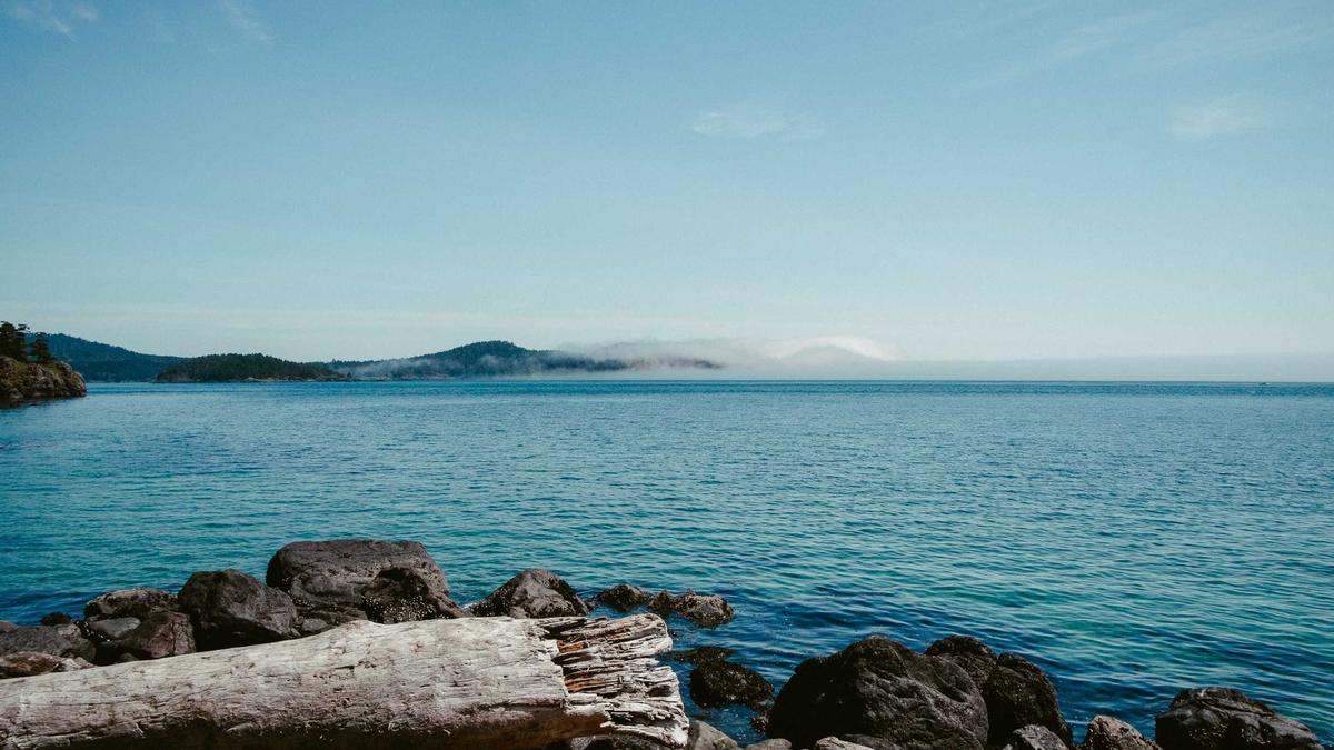 Illustration zu Hoffenheim Ii – Viktoria Koeln