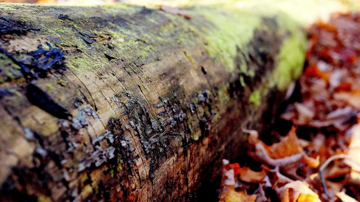 Iftar Heute Detailansicht: Iftar Heute