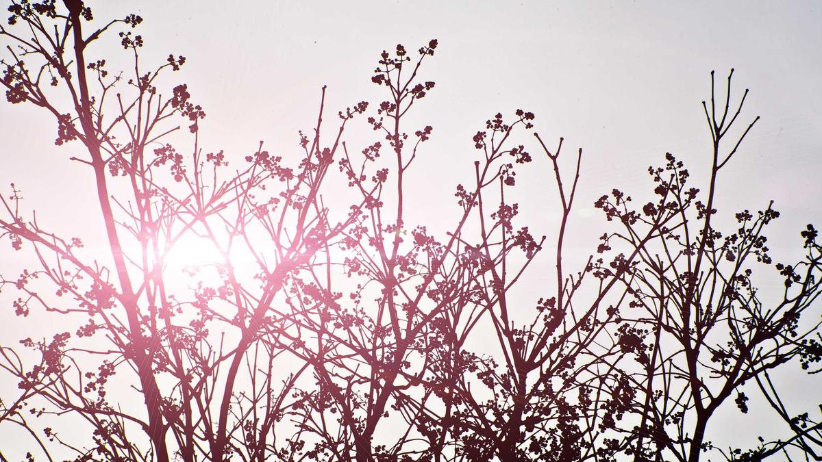 Symbolbild zum Thema Jahn Regensburg – SSV Ulm 1846