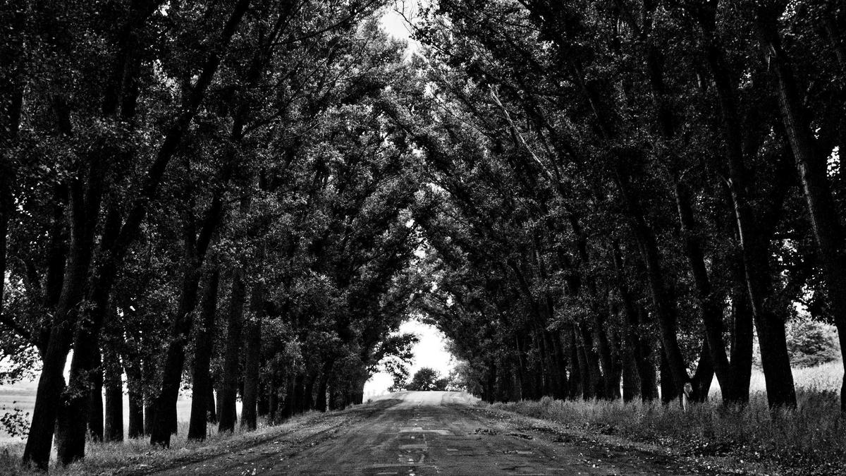 Illustration zu Juventus – Como