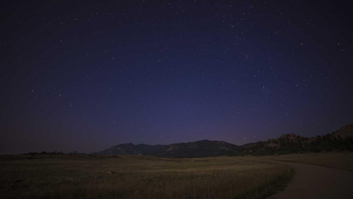 Detailansicht: Kartoffeln Im Pflanzsack