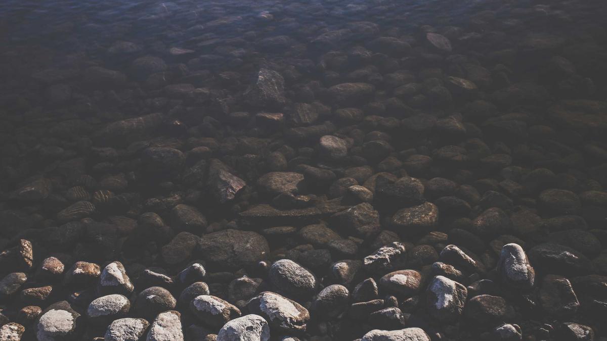 Detailansicht: Katze Bringt Maus