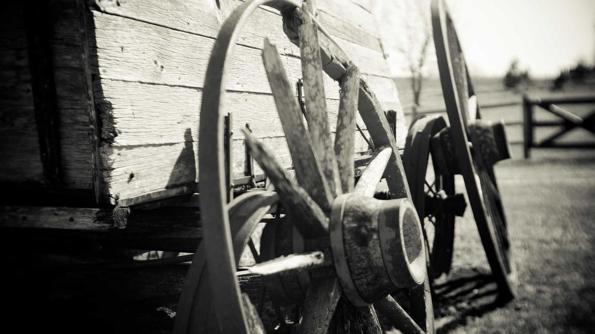 Kompany Detailansicht: Kompany