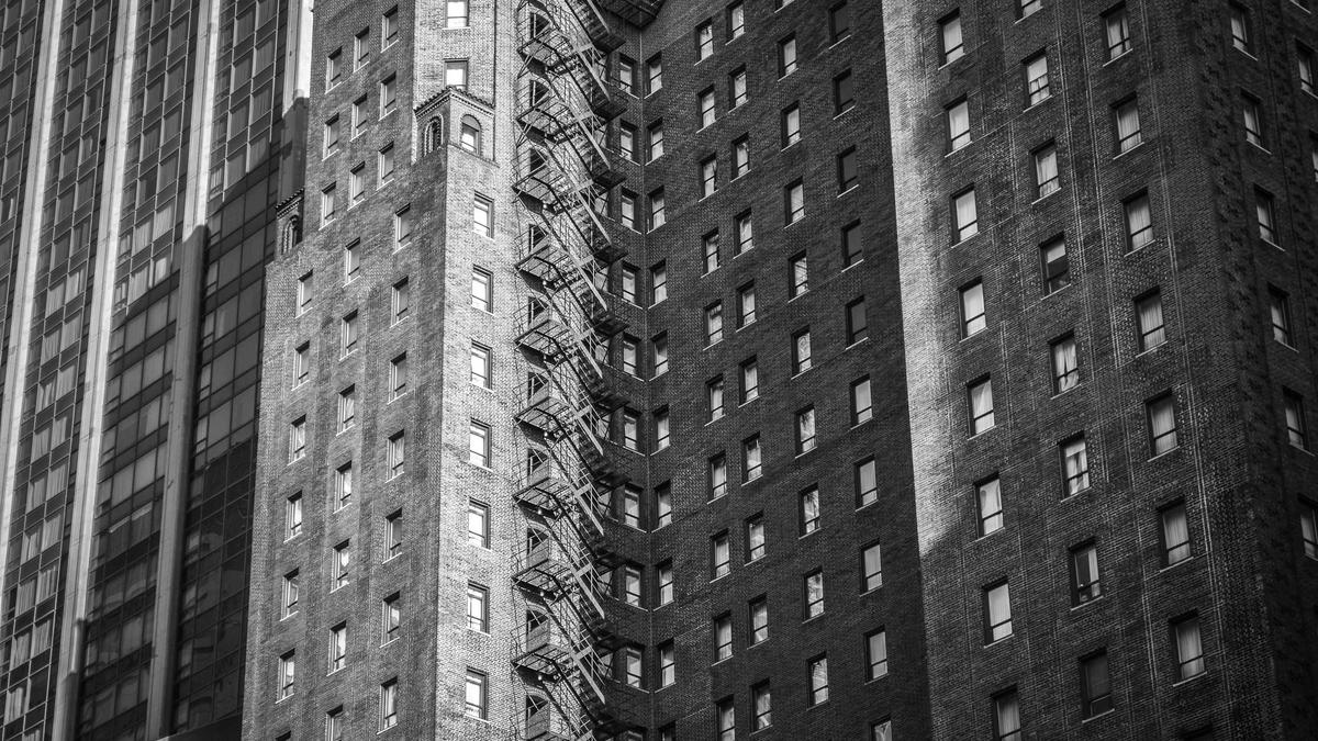 Krötenwanderung Symbolbild zum Thema Krötenwanderung