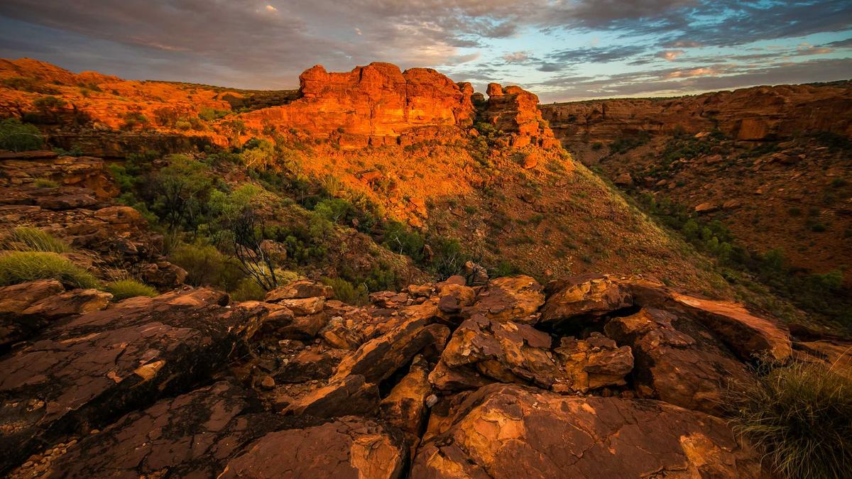 Detailansicht: Kurt Krieger